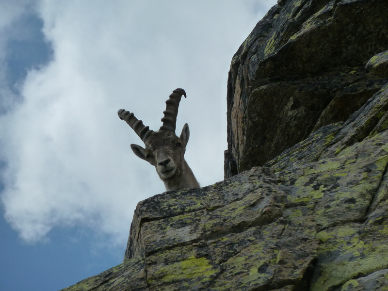 Aggiornamenti dalla redazione di Ceresole Reale