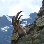 Ma cosa avranno da guardarci?!... beh mettiamoci in posa